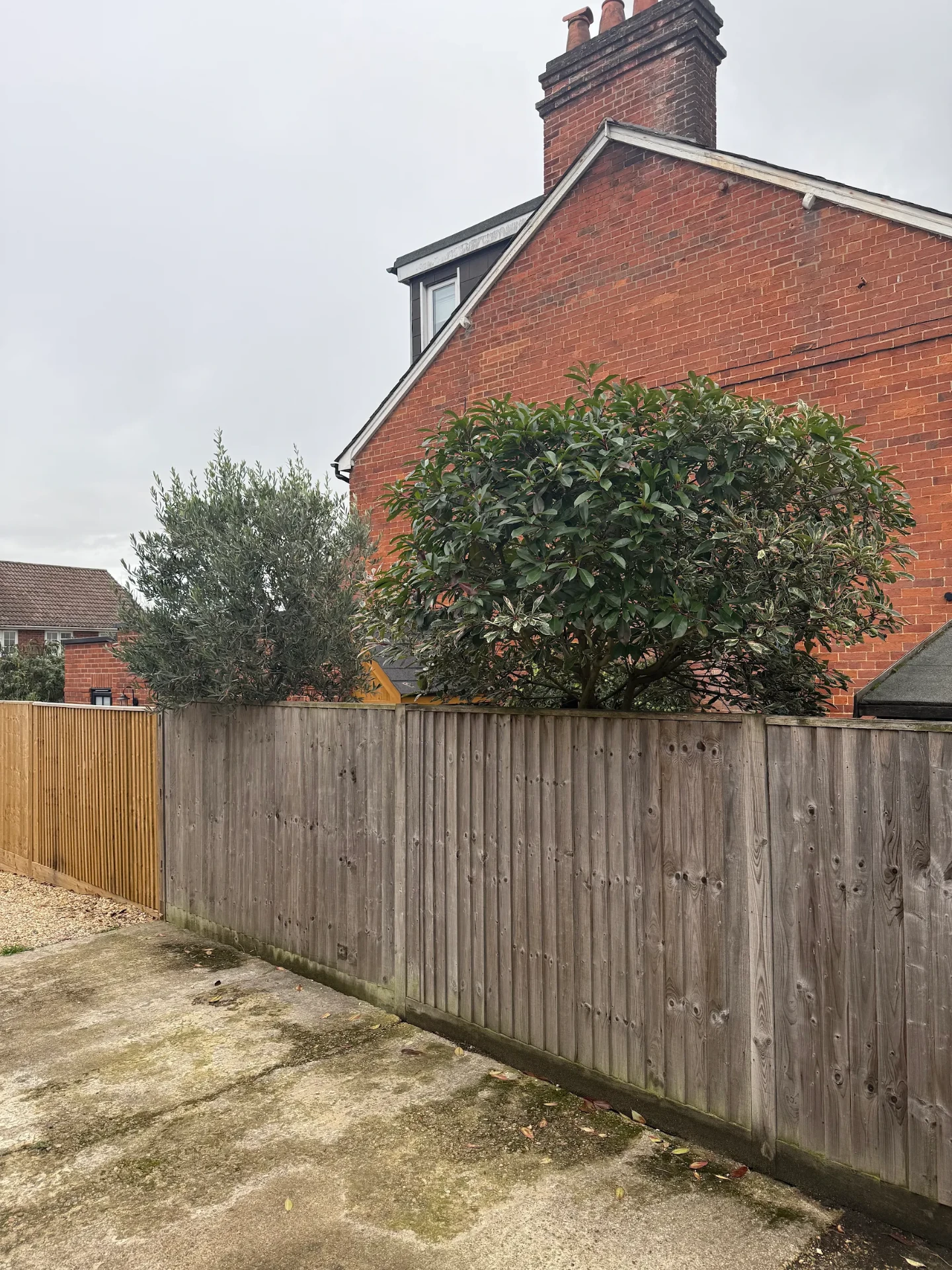 Fence line viewed from the far end of the garden with existing trees behind